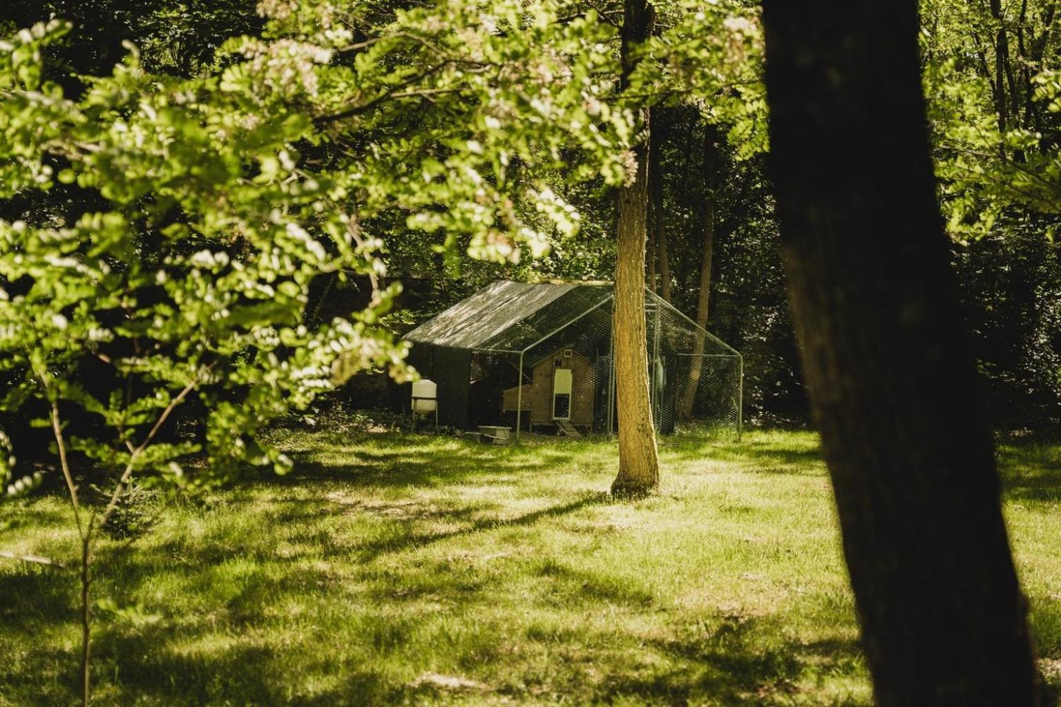 Domaine De Montizeau Bed & Breakfast Lailly-en-Val ภายนอก รูปภาพ
